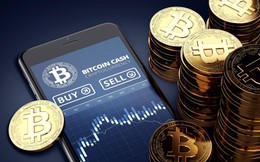 Niềm tin nào khiến Bitcoin chạm mốc 20.000 USD trong năm 2017?