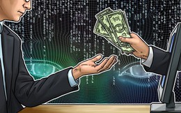 Một DN niêm yết trên sàn chứng khoán Việt Nam tuyên bố lập dự án trên nền tảng blockchain, sẽ ICO vào tháng 1/2019, giá cổ phiếu lập tức tăng hết biên độ