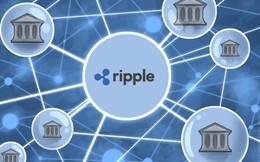 Tăng gấp đôi chỉ sau 1 ngày, Ripple vượt mặt Ethereum trở thành đồng tiền vốn hóa lớn thứ 2 thế giới, chỉ đứng sau Bitcoin
