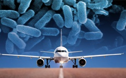Có những người mang siêu vi khuẩn kháng tất cả kháng sinh về nhà, từ chuyến du lịch "cuối cùng" của họ