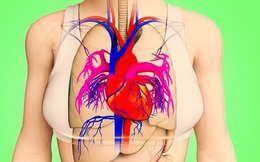 Trước khi xảy ra đau tim tầm 1 tháng thường có 8 dấu hiệu sau: Bạn cần biết mà phòng tránh