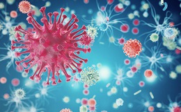 Tìm ra kháng thể giết được 99% chủng virus HIV, hy vọng lớn cho những người bị HIV