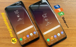 FPT Shop vượt xa Thế Giới Di Động về lượng đặt hàng Galaxy S8 mặc dù có quy mô chỉ bằng 1/3 đối thủ