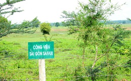 Dự án Saigon Safari sẽ là trung tâm du lịch của TP.HCM, 1/3 diện tích dành cho khách sạn và giải trí