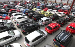Mạo danh Bộ Tài chính bán đấu giá 181 xe ô tô trị giá 128 tỷ đồng