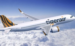 Máy bay TigerAir có mùi cháy, hạ cánh khẩn cấp tại TP. Hồ Chí Minh