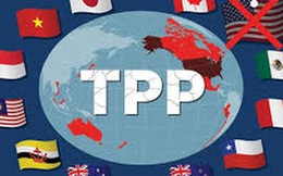 Từ Washington sang Tokyo, TPP 2.0 không Mỹ và có Việt Nam ngày càng rõ nét