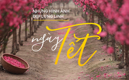 Những hình ảnh đẹp lung linh ngày Tết