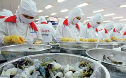 Đề xuất thêm biện pháp hỗ trợ, bảo vệ doanh nghiệp xuất khẩu Việt khi 'mang chuông đi đánh xứ người'