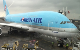 Trụ sở hãng hàng không Korean Air vừa bị lục soát, thêm 1 lãnh đạo chaebol nữa sắp chịu chung số phận giống 'Thái tử' Samsung?