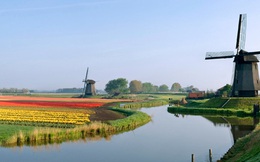 Tại sao Hà Lan chỉ có 17 triệu dân, diện tích nhỏ, biến đổi khí hậu ảnh hưởng lớn nhưng XK nông sản lại gấp 3 Việt Nam?