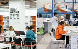 Thư viện các trường Đại học ở Việt Nam: Nơi sang chảnh 129 tỷ đồng, nơi đẹp đến mức đứng đâu cũng ra ảnh nghìn like