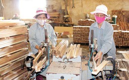 4 điểm yếu của ngành chế biến gỗ Việt Nam
