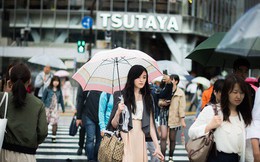 Vì sao những món đồ thất lạc ở Nhật Bản lại có thể tìm về với chủ? Sự trung thực chỉ là 1 trong các lí do