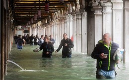 Thành phố Venice ngập gần như hoàn toàn trong nước sâu 1,5 mét