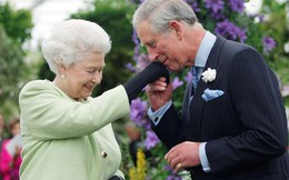 Người hâm mộ dậy sóng trước tin Nữ hoàng Anh ngầm chuyển giao quyền lực cho Charles, bà Camilla sẽ lên ngôi hoàng hậu