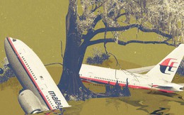 Phát hiện chấn động mới trong rừng rậm Campuchia: Bí ẩn máy bay MH370 sắp được sáng tỏ?