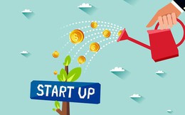 Chính sách hỗ trợ khởi nghiệp: Đến bao giờ startup mới tiếp cận hiệu quả?