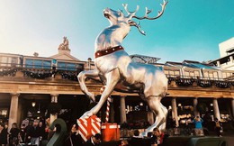 Những khoảnh khắc giao mùa ở London: Cả thành phố được trang hoàng lộng lẫy cho mùa Giáng sinh đang đến