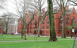 Tại sao trong từ điển của Đại học Harvard không có từ 'Tốt nghiệp'?