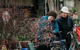 Chùm ảnh: Ghé thăm chợ hoa truyền thống lâu đời nhất Hà Nội - cả năm chỉ họp đúng một phiên duy nhất