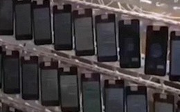 "Trang trại trồng view" với 10.000 chiếc điện thoại chạy cùng lúc - muốn nổi như cồn ở Trung Quốc quả thực không quá khó