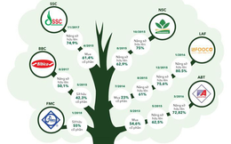 PAN Group - doanh nghiệp vừa sở hữu hơn 54% Thực phẩm Sao Ta đang nắm trong tay những gì?