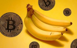 Bananacoin - Đồng tiền chuối, có trị giá bằng 1 cân chuối