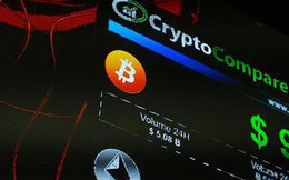 Bitcoin giảm còn 7XXX USD, kịch bản vòng xoáy bán tháo có khả năng lặp lại