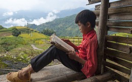 Chuyên gia nước ngoài: Việt Nam là câu chuyện thành công của khu vực, khi học sinh nghèo cũng học giỏi hơn học sinh các nước giàu