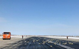 Bị tung cửa, máy bay Nga rải 10 tấn vàng và kim cương suốt 26 km