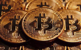 Tom Lee: Bitcoin sẽ chạm mốc 91.000 USD vào năm 2020