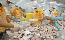 “Cơn bão” áp thuế của Mỹ nối dài khó khăn của doanh nghiệp cá tra Việt