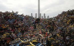 Những "nghĩa trang" xe đạp khổng lồ ở Trung Quốc
