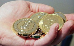 Kế toán “rút ruột” hơn 8 tỷ đồng đầu tư vào Bitcoin