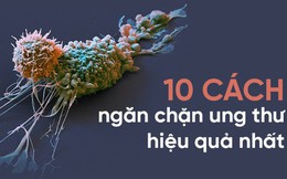 10 chuyên gia đúc kết 10 nguyên tắc 'vàng' phòng tránh ung thư: Ghi nhớ để tự cứu mình