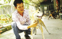 Chàng trai 8X nuôi chó Phú Quốc kiếm hàng trăm triệu đồng mỗi năm