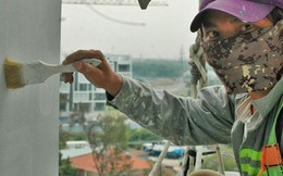 Người nhện đu sơn