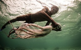 Tiến hóa vẫn đang xảy ra ở bộ tộc miền biển này, giúp họ lặn sâu gần 80m và nhịn thở hơn 3 phút