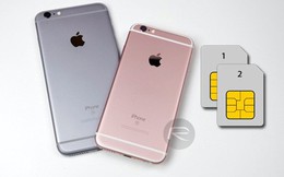 Lần đầu tiên Apple quyết định cho ra đời iPhone 2 SIM, dự kiến ra mắt trong năm nay