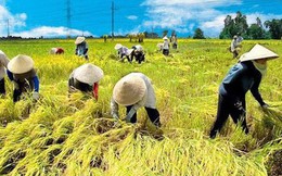Hàng loạt ưu đãi cho doanh nghiệp đầu tư vào nông nghiệp