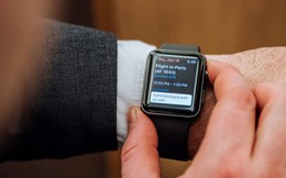 Apple chính thức vượt mặt Thụy Sỹ về bán đồng hồ