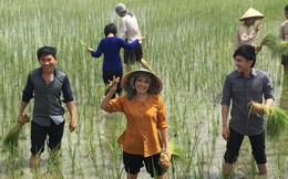 Tín hiệu vui từ chỉ số lạm phát của Việt Nam: Gạo Việt tăng chất, được giá hơn gạo Thái 15 – 20 USD/tấn