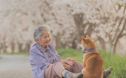 Giữ lời hứa chụp bà và chú chó dưới tầng hoa anh đào, câu chuyện của nhiếp ảnh gia Nhật Bản khiến bao người thổn thức