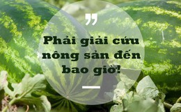Phó Viện trưởng Viện Khoa học Nông nghiệp Việt Nam: Người thành thị không nên tham gia "giải cứu" nông sản!