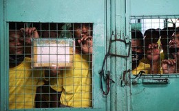 'Nhà tù ổ chuột' ở Philippines: Tù nhân được tự do đi lại, đông đến mức chỉ có chỗ ngồi