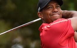 Video: Mãn nhãn với những khoảnh khắc ấn tượng của Tiger Woods ở Masters Tournament 2018