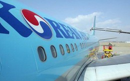 Hàn Quốc tịch thu hàng lậu nghi của gia đình Chủ tịch Korean Air