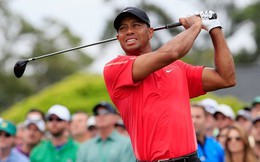 Lịch trình luyện tập giúp Tiger Woods đạt tới đỉnh cao: Thành công chính là phần thưởng cho sự nỗ lực và kiên trì vượt bậc