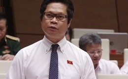 Chủ tịch VCCI Vũ Tiến Lộc: Ngân sách đang cân đối bằng cách bán đất, bán tài sản công